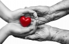 Alpha Cares: Why Donating Blood is Good for your Health
